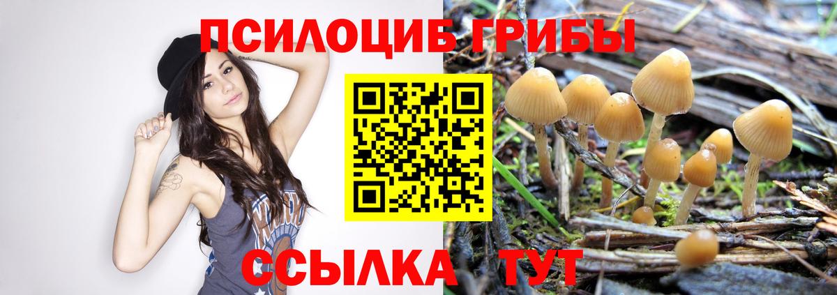 купить наркотик  Галлюциногенные грибы ЛСД  Галлюциногенные грибы Psilocybine cubensis  Вход с VPN  Абакан 